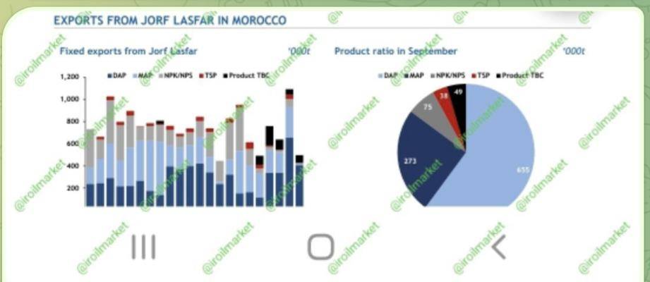 رشد صادرات فسفات از مراکش