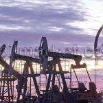 بازار نفت در سراشیبی سقوط ؟