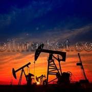 بررسی نفت خام هند و مدیترانه | 15 فوریه 2024